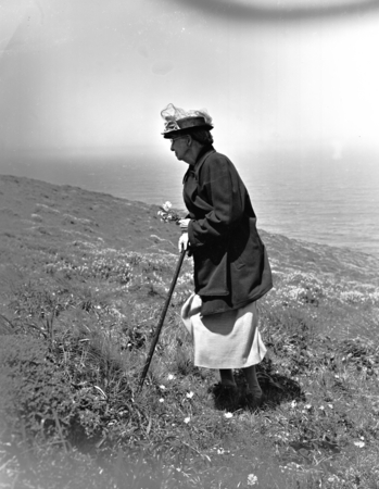 Alice Eastwood, Botanist, California Academy of Sciences, leads a botany trip to Point Reyes. 1950