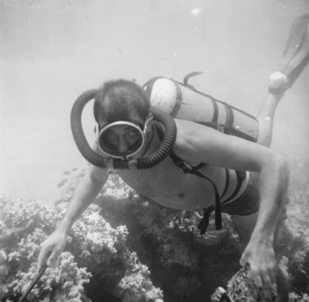 Underwater field work off the island of Vava&#39;u, Tonga