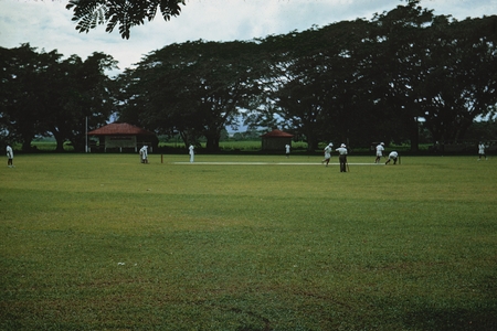 Cricket Game, 1953