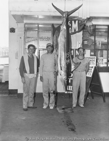 Three men posing with marlin in front of H &amp; M Sport Fishing Company