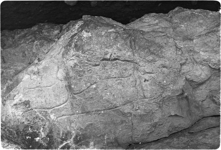 Petroglyph rock in the Rancho San Martín area