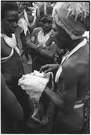 Pig festival, pig sacrifice, Tsembaga: a man displays shell valuables on a marsupial skin, potential exchange partners nearby