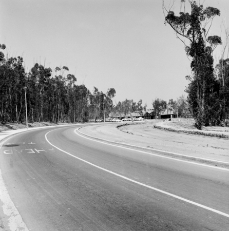 Construction of Gilman Drive on UC San Diego campus
