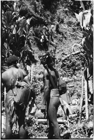 Men wearing bark belts, including Kapul of Gari, carry cargo