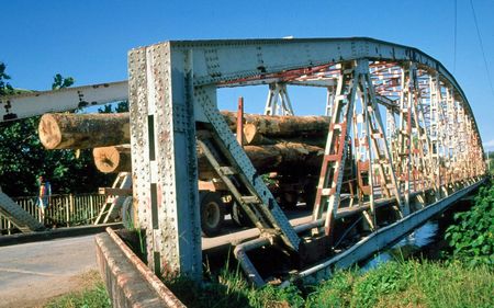 Logging Truck Sarakata