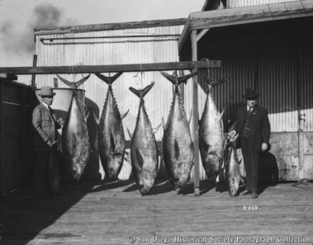 Two men posing with catch of giant tuna