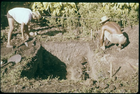 Vaiohu&#39;a archaeological excavation: pit and men working