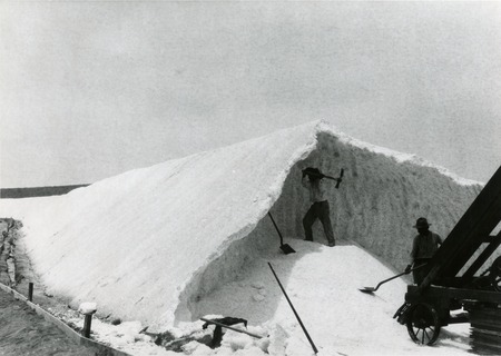 Men loosening the salt from the stiffened mound at the Bateque Salt Works