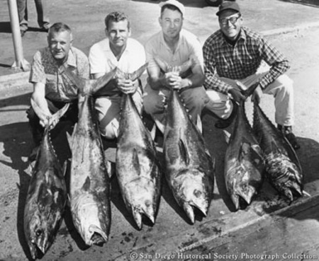 Four men posing with catch of tuna