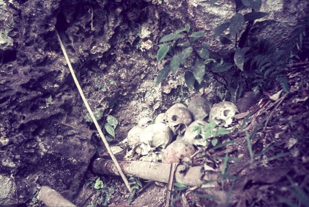 Skulls of ancestors in a limestone grotto