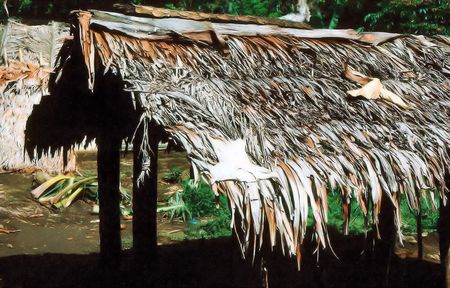 Clothes Drying on Pandanus Roof