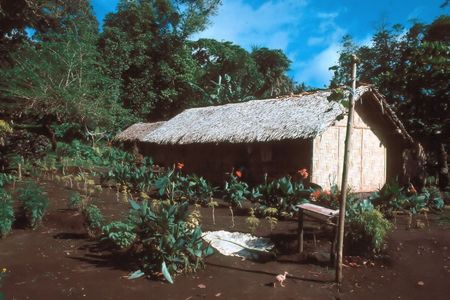 House with Planted Flowers, Waileni