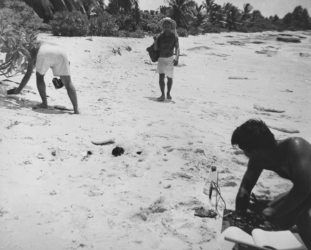 Left to right: Wayne Runyon hunts shells, Deane Carlson returns from tide pool sampling, Dick Morita does chemical analysi...