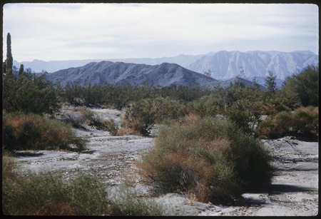 Desert view, 14.1 miles south of San Felipe