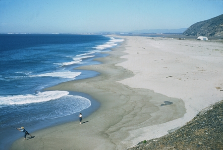 Beach cusps at Point Mugu, California
