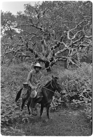 Enrique Hambleton riding in the Cape Sierra