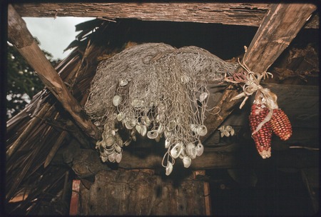 Fishing net weighted with shells, net hangs from a house, alongside ears of red corn