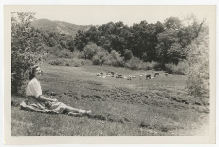 Mary Catherine Taylor in meadow with cows at Eagle&#39;s Nest