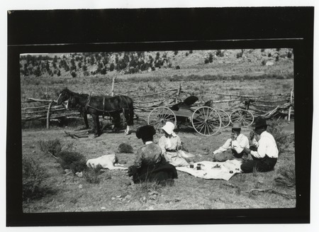 People at a picnic