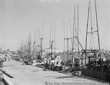 Docked fishing boats, San Diego harbor