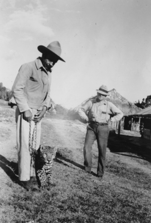 Guatemala trip - William S. Officer with jaguar on a chain, Carl Hubbs looking on, Paso Caballo, Petén
