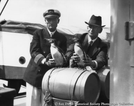 Captain G. Allan Hancock and San Diego Zoo founder Dr. Harry M. Wegeforth holding penguins on board research vessel Valero...