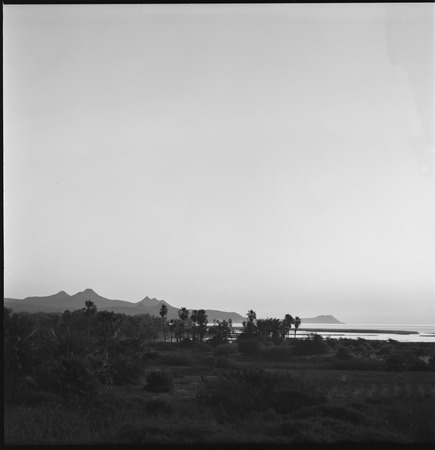 Estero and fields at San José del Cabo, looking east