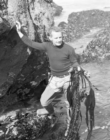 Robert Menzies from the College of the Pacific Marine Station, Dillons Beach, Sonoma County, California, displaying some L...