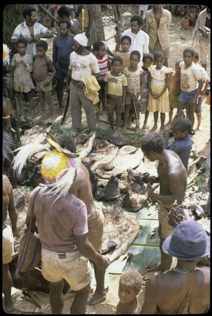 Ritual exchange: children gathered near pork and cassowary meat arranged for distribution