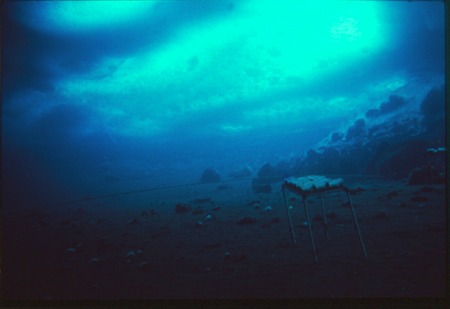 McMurdo Jetty at twenty meters depth with sea ice ceiling above, with a rack holding John Oliver&#39;s bins during Paul Dayton...