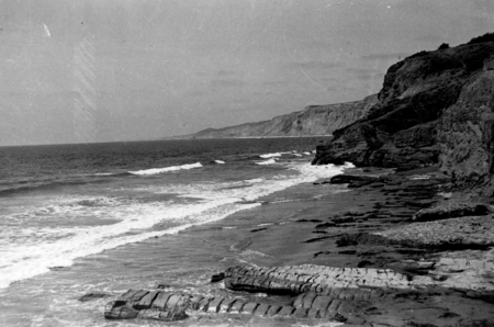 Rock formation called &quot;Elephant Rock&quot; and cliffs just north of the Scripps Institution of Oceanography