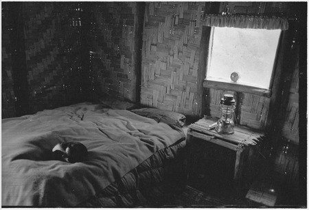 Edwin Cook&#39;s house in Kwiop: interior, cat sleeps on bed