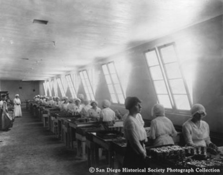 Women canning fish at Neptune Sea Food Company cannery