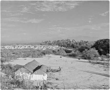 Rancho El Palmarito near Todos Santos