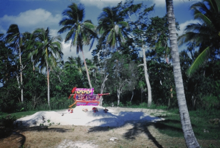 Cemetery. Capricorn Expedition, 1953