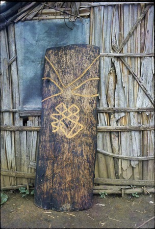 Shield with carved design leans against Rappaports&#39; house