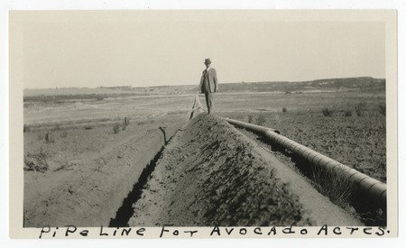 Man with pipeline at Avocado Acres