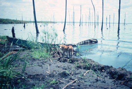 Shore of Kasongole fishing village on Lake Mweru Wantipa