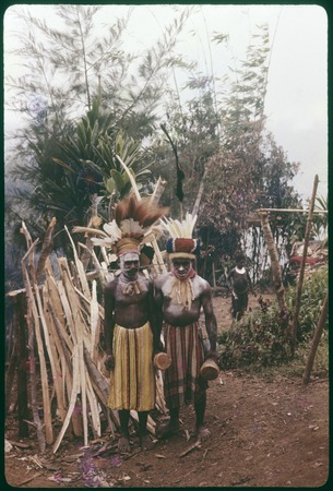 Pig festival, singsing, Tsembaga: decorated men (Men and Aiden) hold kundu drums
