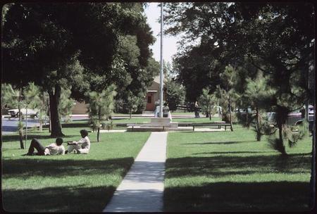 Matthews Campus flagpole