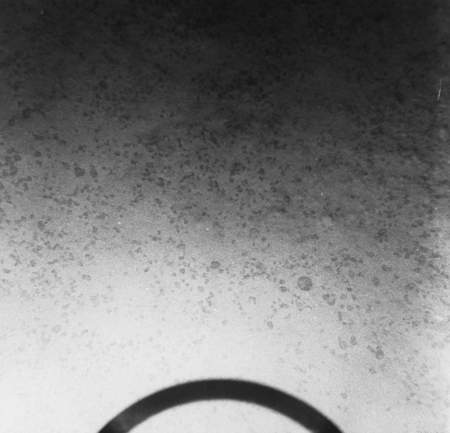 [Underwater Photograph taken with NEL type III camera at NEL camera station #3, Scripps station #NH-6-C at4302 meters.]