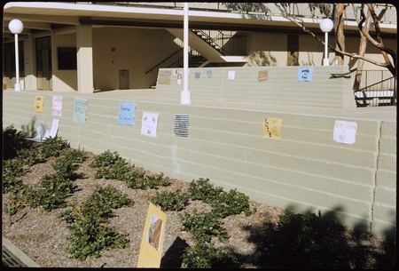 UCSD&#39;s first student election posters