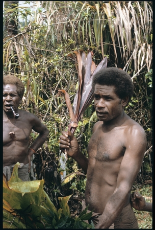 Dangeabe&#39;u and Maenaa&#39;adi with cordyline and other plants for ritual.