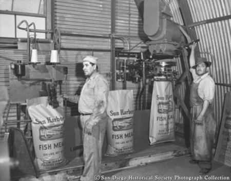 Workers filling bags with fish meal, Sun Harbor Packing Corporation
