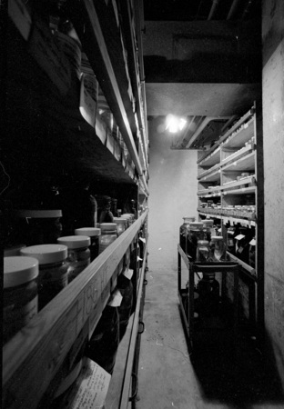 Fish Collection laboratory