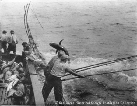 Fishermen with bamboo poles catching tuna from side of boat