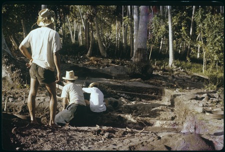 Hauiti archaeological excavation, Moorea: X49 and X50, men working