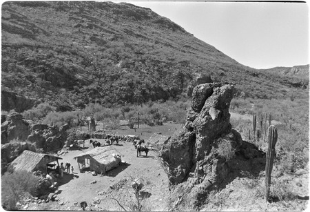Rancho Las Jícamas