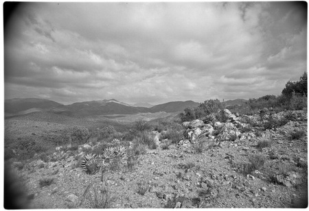 Looking north toward Cerro Matomí