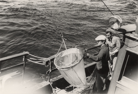 Plankton net, being lowered by Martin W. Johnson, was used to collect small animals living at various depths below the sur...